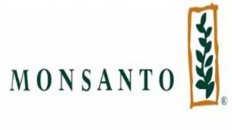 Monsanto Logo - Seed swaraj