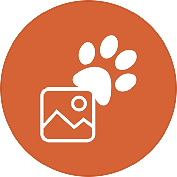 Petland Logo - Petland Chillicothe, Ohio Pet Store - Buy Pets, Puppies & Supplies
