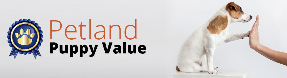 Petland Logo - Puppy Packages Available Frisco, Texas