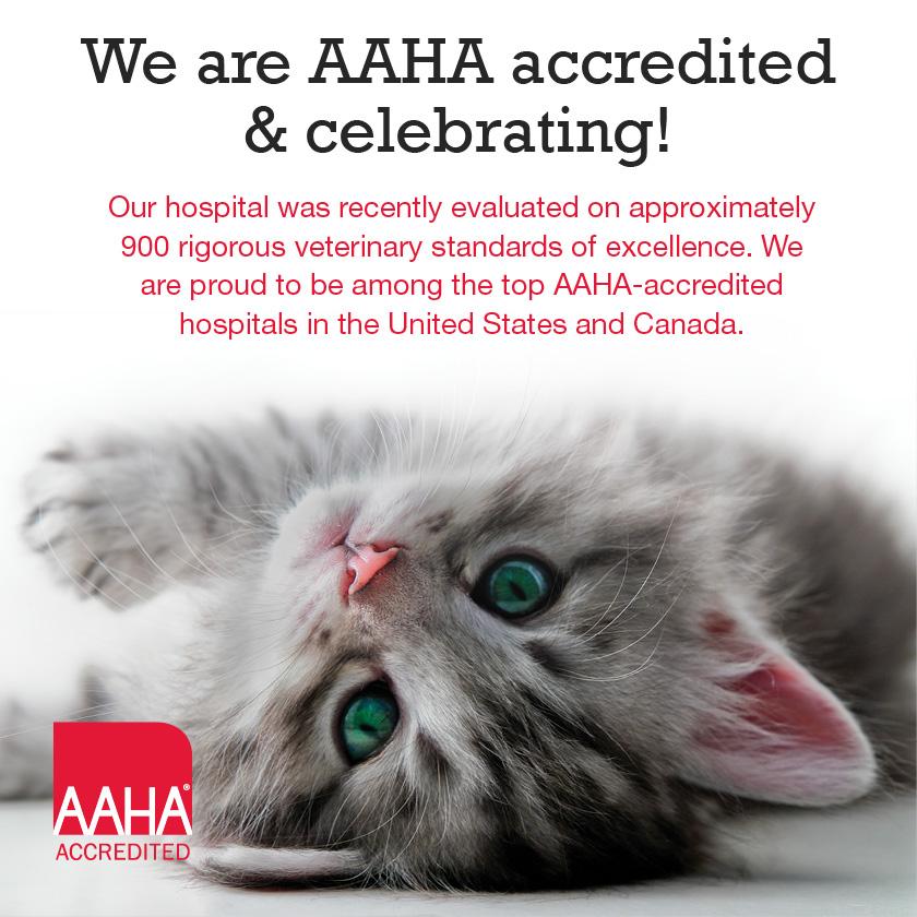 American Animal Hospital Association Logo - American Animal Hospital Association Accreditation