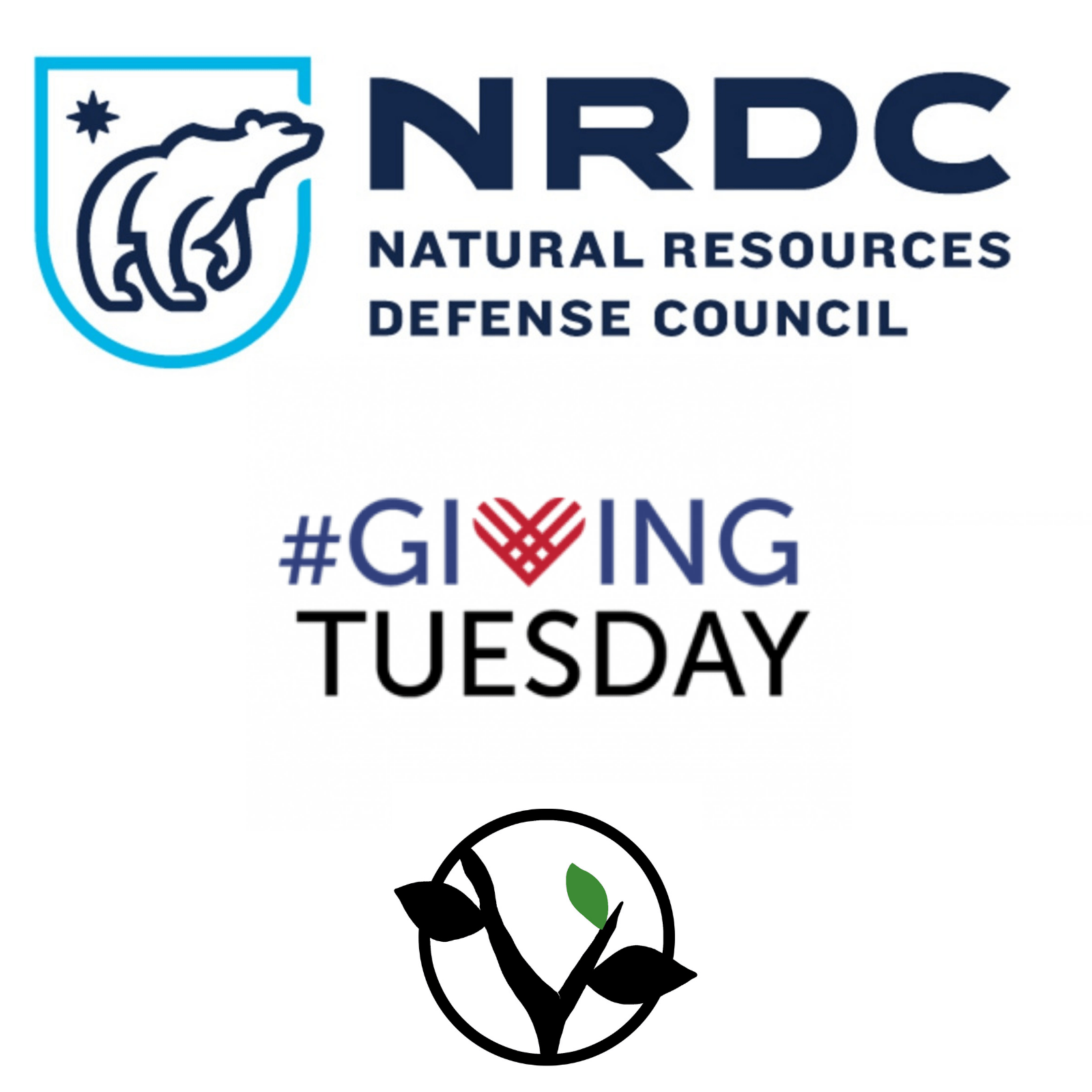 Natural Resources Defense Council Logo - Giving Tuesday: Natural Resources Defense Council | Greenleaf Music ...