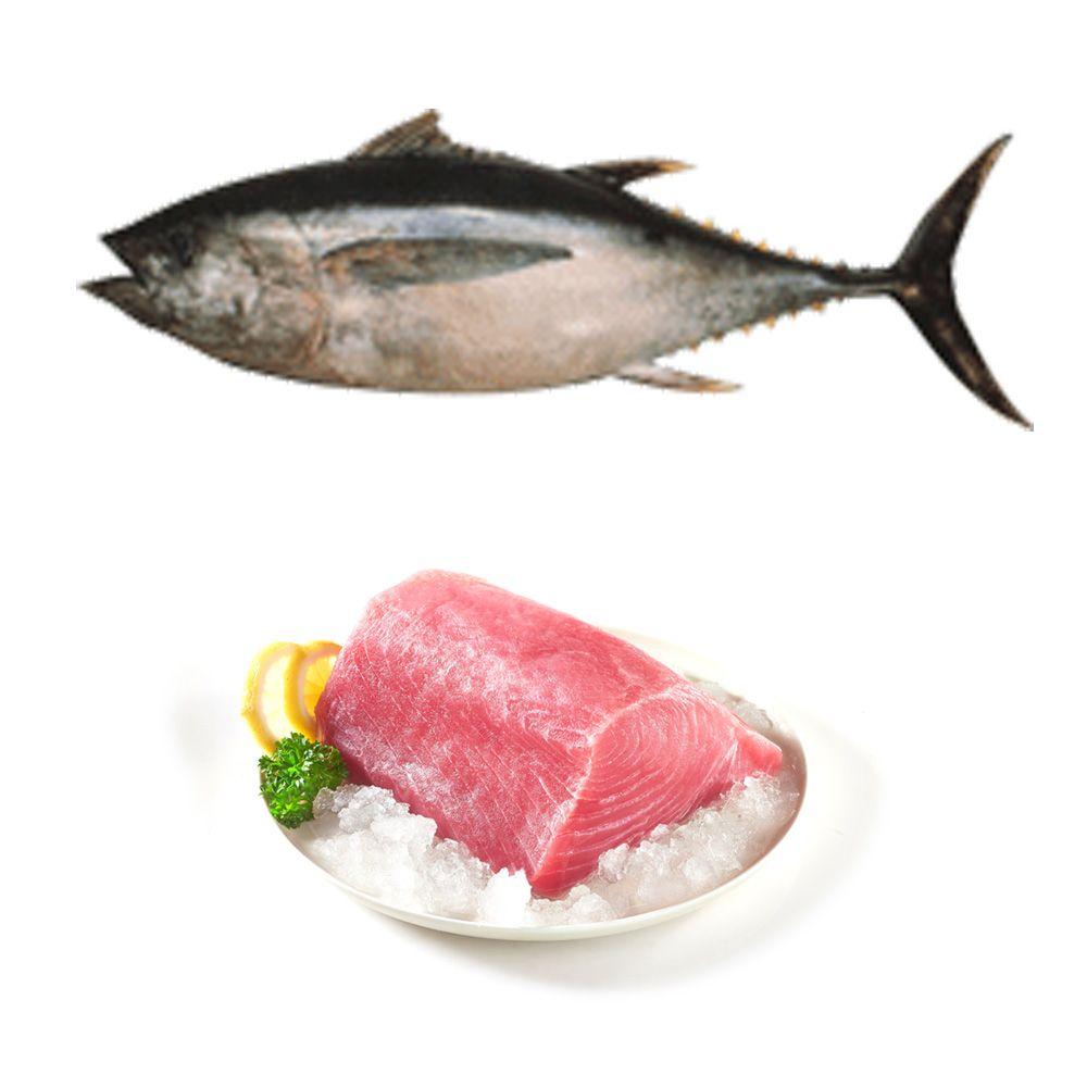 Big Eye Tuna Logo - Frozen Big Eye Ahi – Hilo Fish Co.