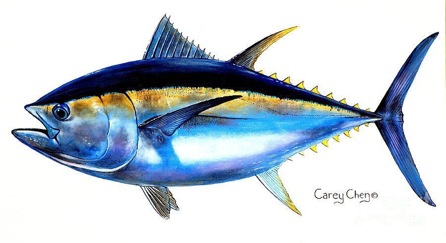 Big Eye Tuna Logo - Big Eye Tuna Painting Eye Tuna Fine Art Print