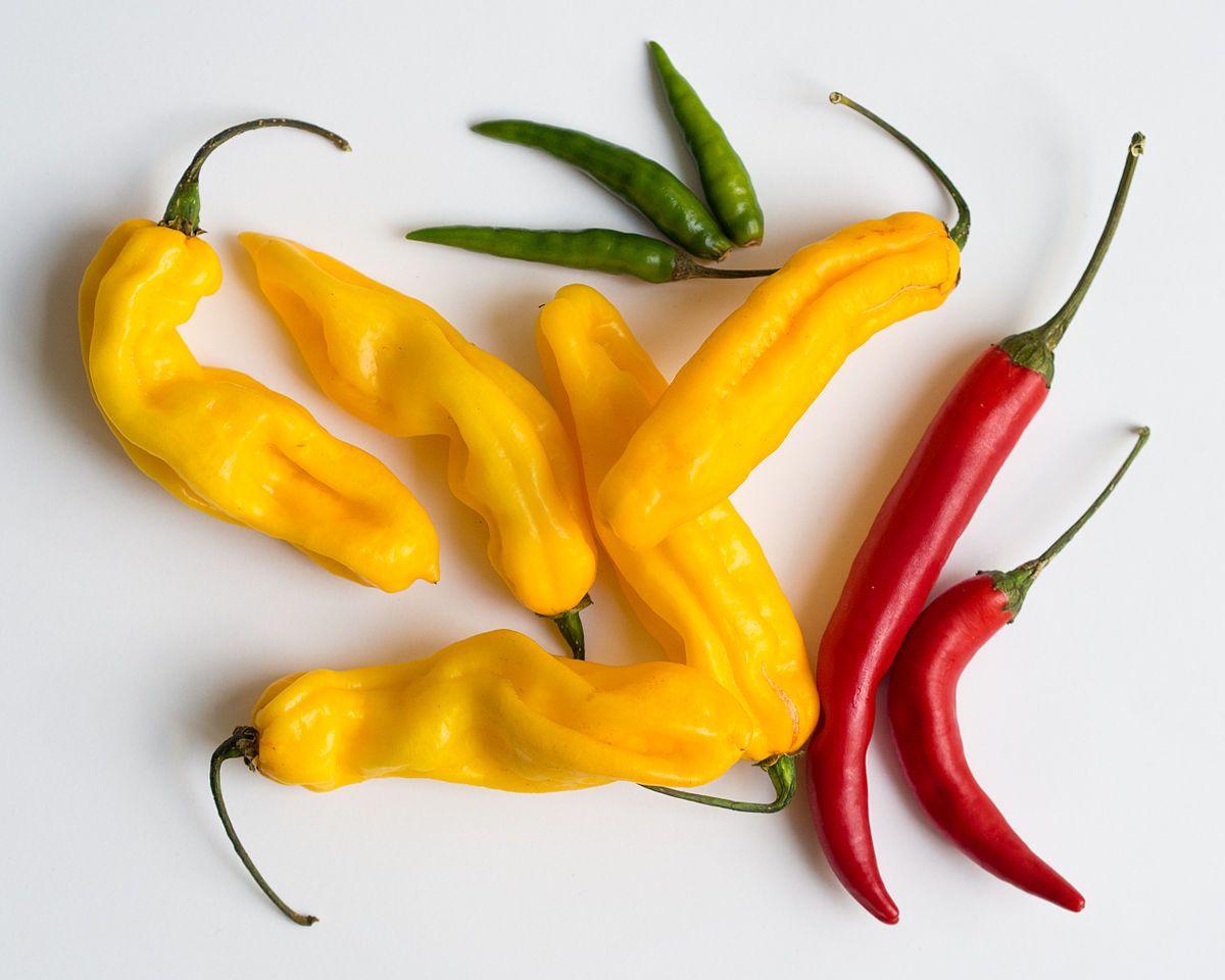 Red Chili Pepper Restaurant Logo - Chili pepper