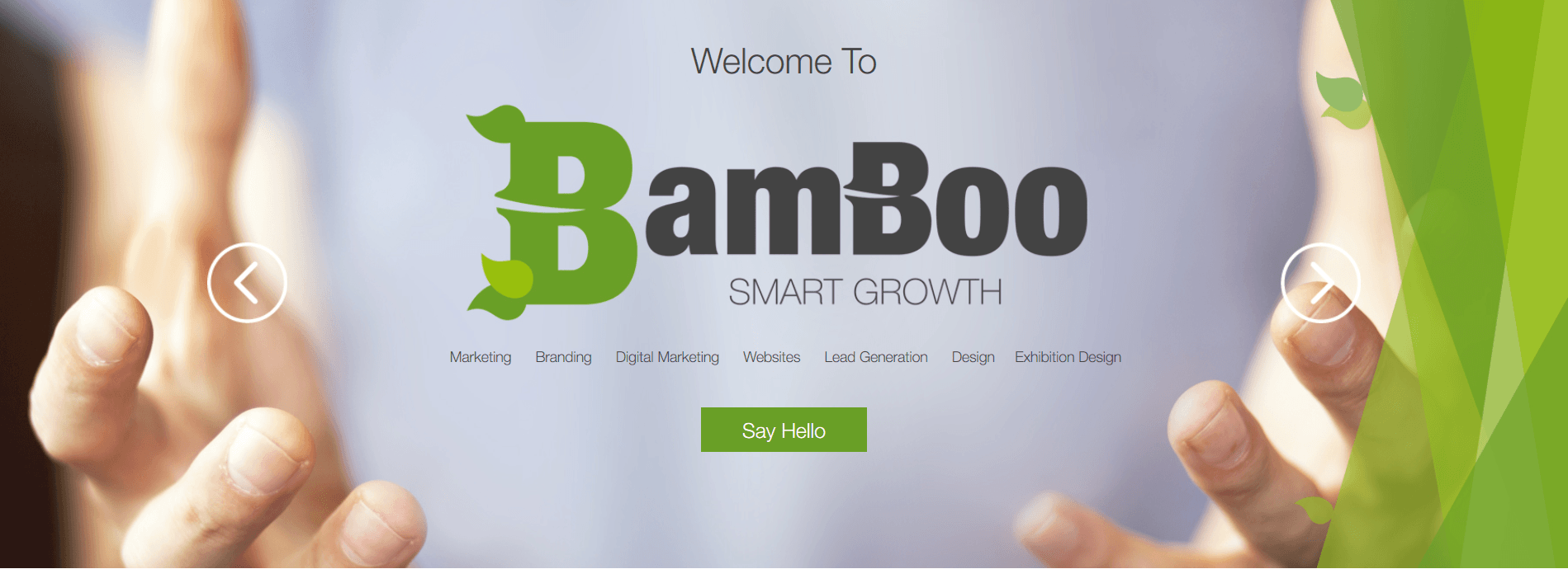 Bamboo Money Logo - BamBoo Smart Growth the BamBoo man