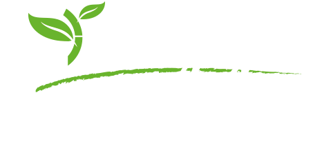 Bamboo Money Logo - Genesi Life - investimenti nel bamboo gigante - home