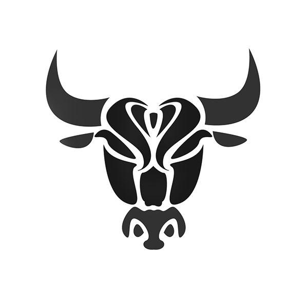 Derrick Rose Logo - Chicago Bulls X Derrick Rose concept