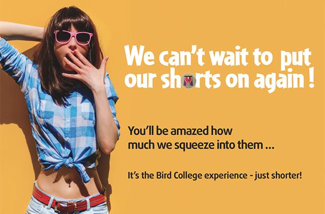 Orange Bird in College Logo - Shorts carousel | Bird College