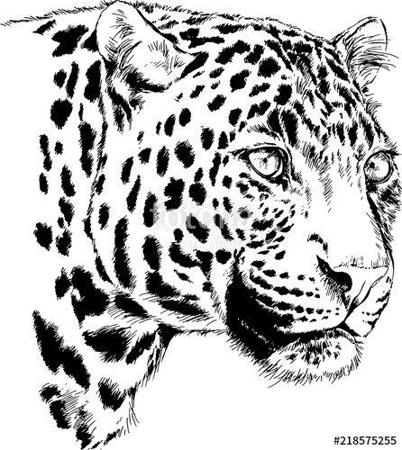 Painted Face Logo - big leopard painted with ink by hand on a white background logo ...