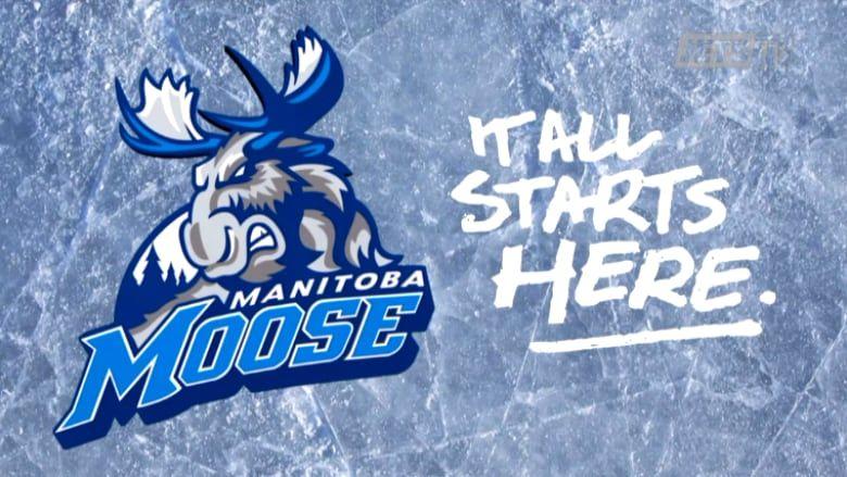 Who Has a Moose Logo - True North brings Manitoba Moose back to Winnipeg | CBC News