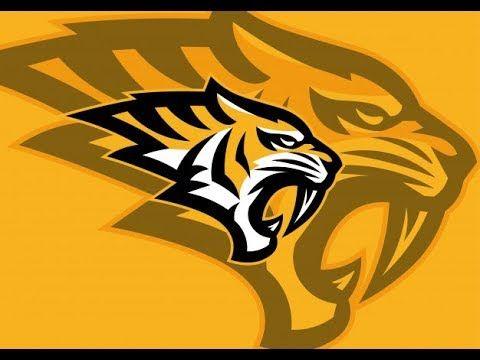 Yellow Tiger Logo - Tiger Logo Design I Animal Logo Design I Adobe Illustrator Tutorial ...