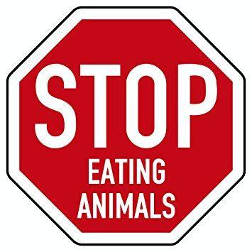 Animals On Red Car Logo - Sticker Stop Eating Animals white/red: Amazon.co.uk: Car & Motorbike