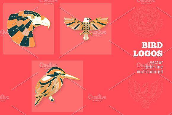 Multi Colored Bird Logo - 3 Bird Logos ~ Logo Templates ~ Creative Market