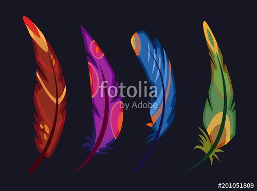 Multi Colored Bird Logo - multi-colored bird feathers