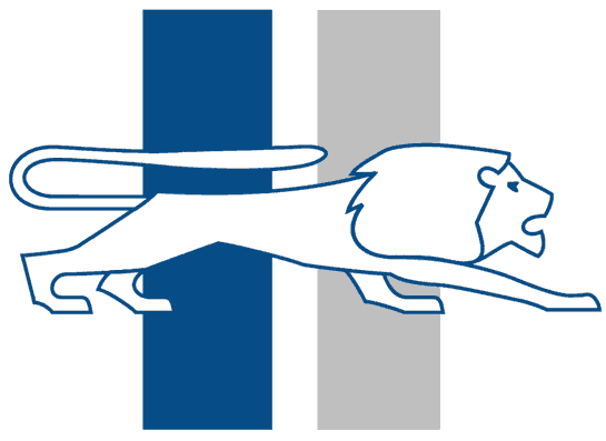 Detroit Lions Silver Logo - Detroit Lions Primary Logo Football League (NFL)