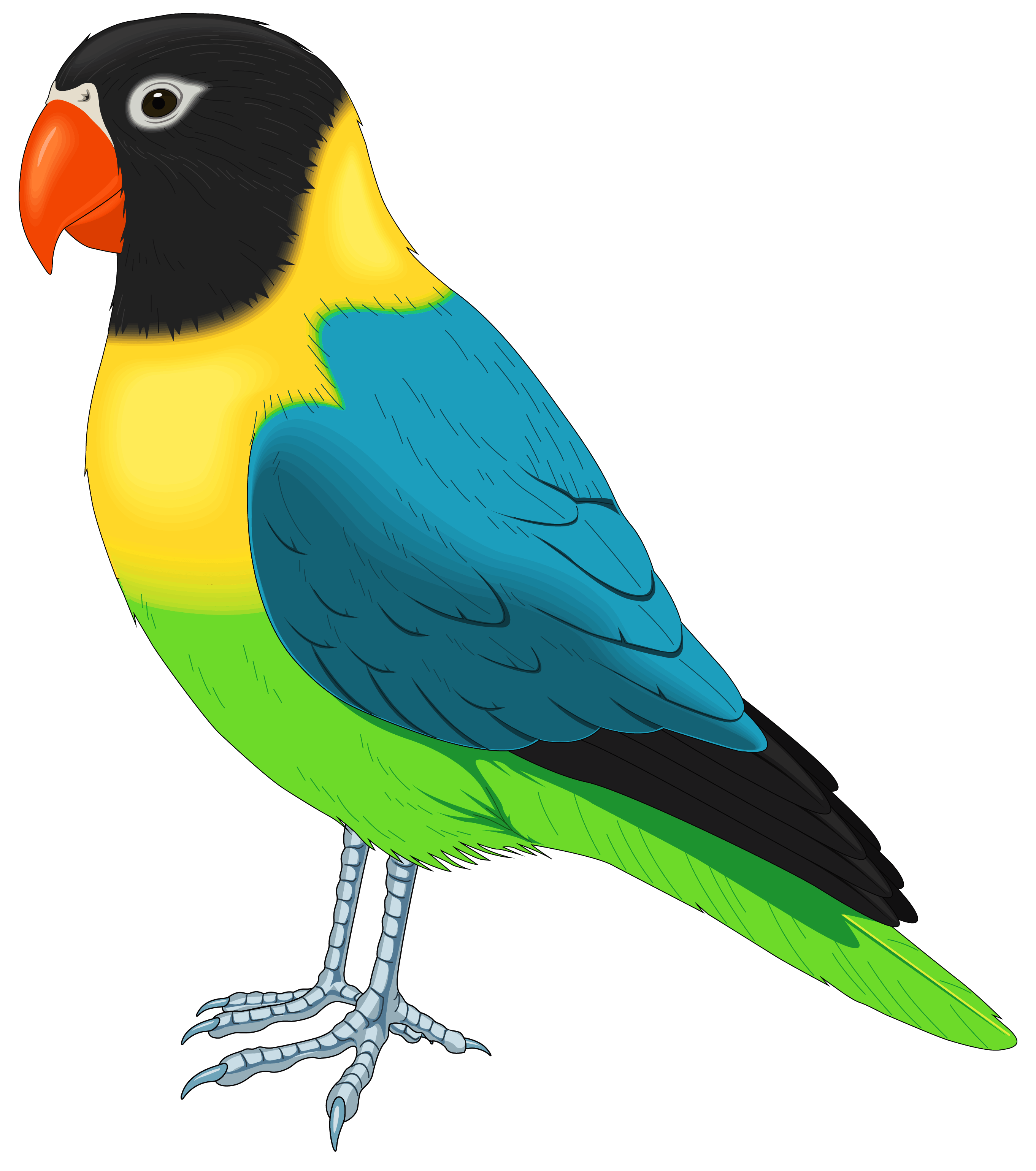 Multi Colored Bird Logo - Red Bird Clip Art At Clker Vector Clip Art Online Royalty In Bird