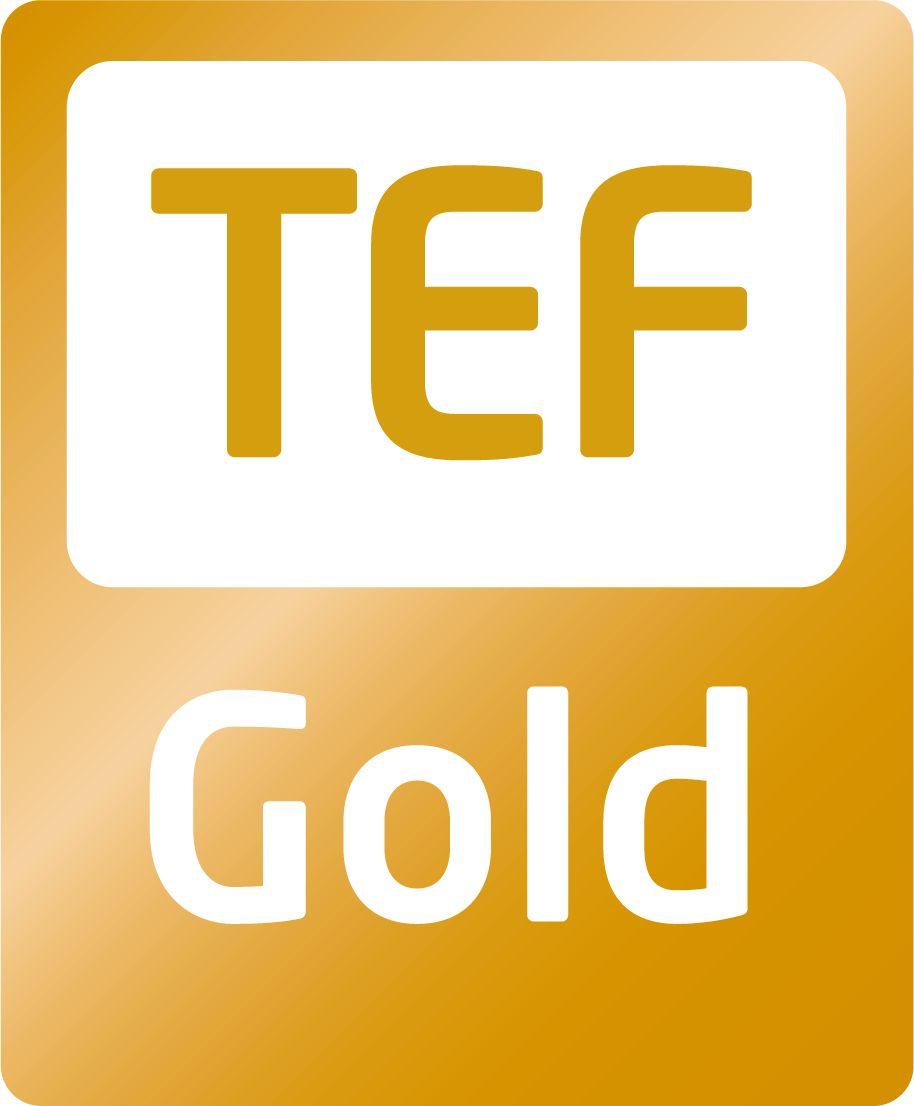 Orange and Gold Logo - TEF Gold logo RGB portrait. South Devon College
