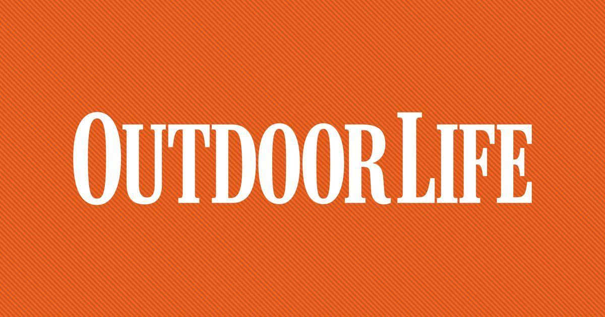 Online Outdoor Company Sheep Logo - Hunting, Fishing & Survival Tips, Gun Reviews