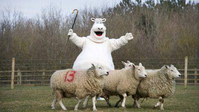 Online Outdoor Company Sheep Logo - Things to do. Days Out. Theme Park. BIG Sheep Devon Attraction