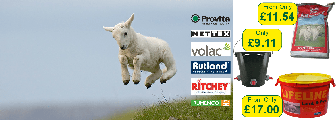 Online Outdoor Company Sheep Logo - TFM Superstore. Farm Supplies, Agricultural and Country Stores