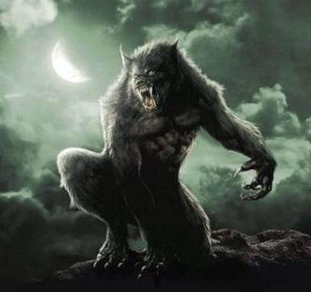 Savage Fire Wolf Logo - Werewolf Class | Fire Emblem Amino