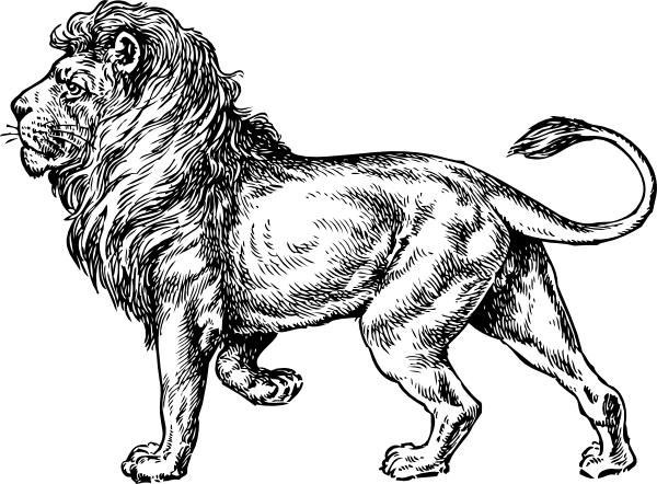 Walking Lion Logo - Walking Lion Drawing Clip Art clip art online