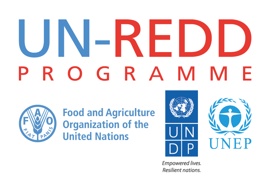Red D Logo - UN REDD Programme