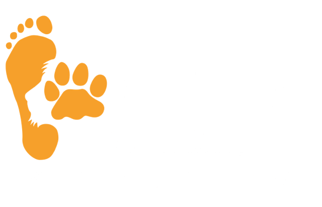 Walking Lion Logo - walkingforlions