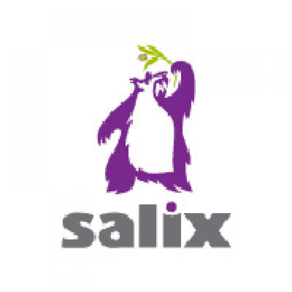 Salix Logo - Salix Stainless Steel Fabrications Limited | Premier Construction ...