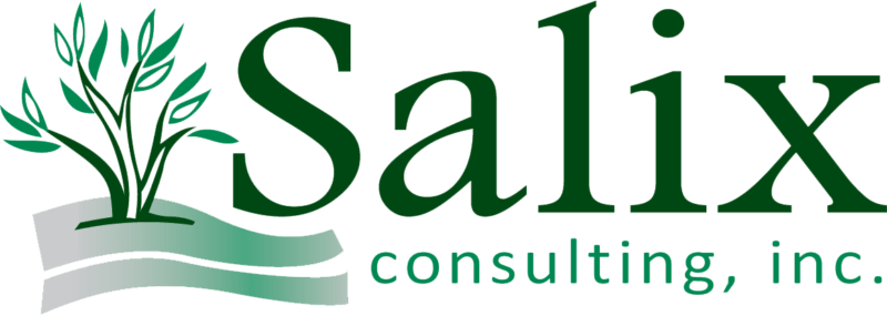 Salix Logo - Home Page - Salix Consulting, Inc.