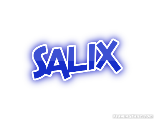 Salix Logo - United States of America Logo | Free Logo Design Tool from Flaming Text