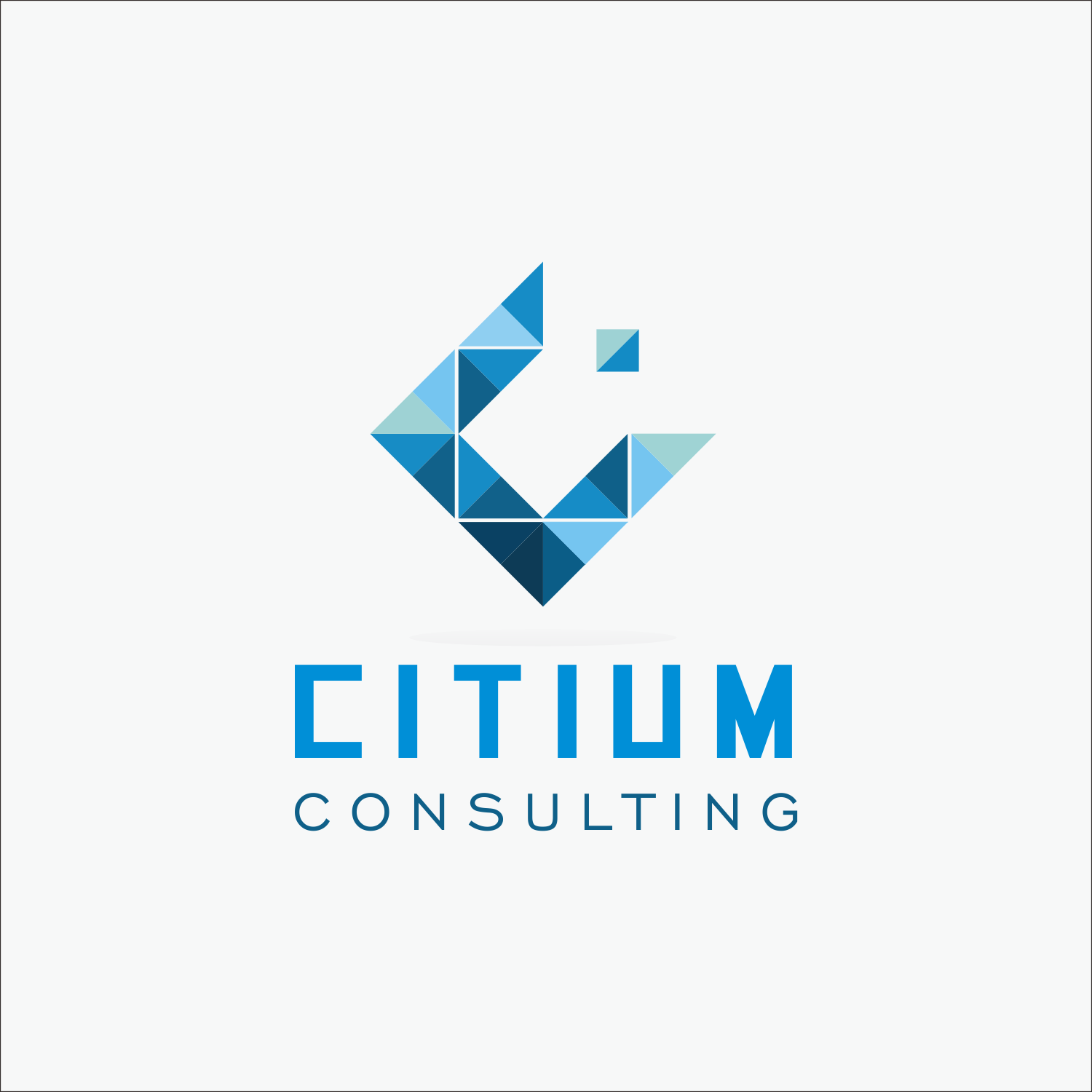 Consultant Logo - Modern, Professional, Business Consultant Logo Design for Citium