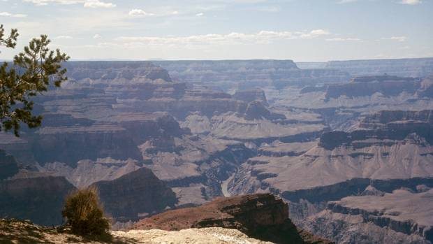 Grand Canyon IPA Logo - Three killed after tour helicopter crashes in the Grand Canyon ...