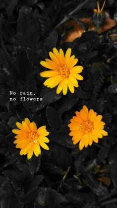 Flowered U Logo - 109 Best flower & bloom quotes images | Messages, Thoughts ...