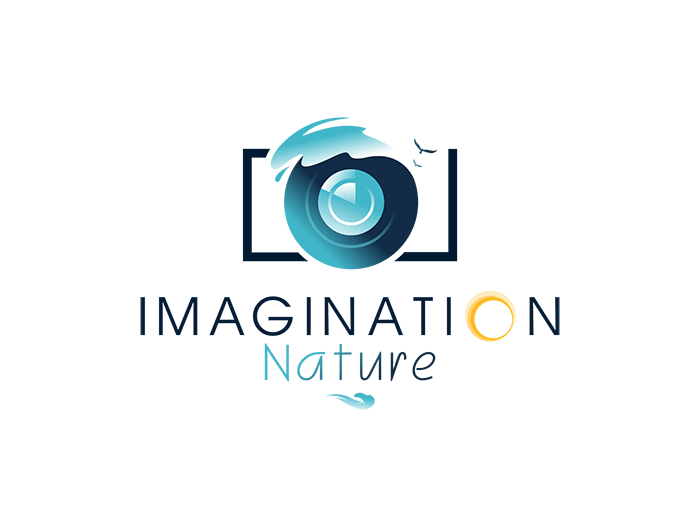 Creative Photography Logo - Creative photography logo ideas png 2 PNG Image
