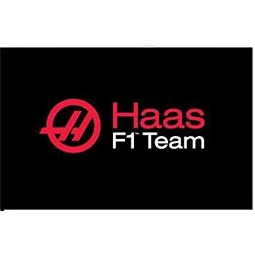 L Team Logo - Haas F1 Team Logo Flag
