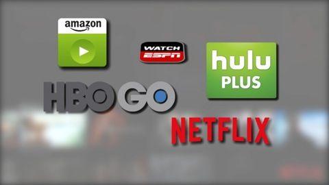 Google Hulu Plus Logo - Password Sharing: Netflix, Hulu Plus, HBO Go, etc.