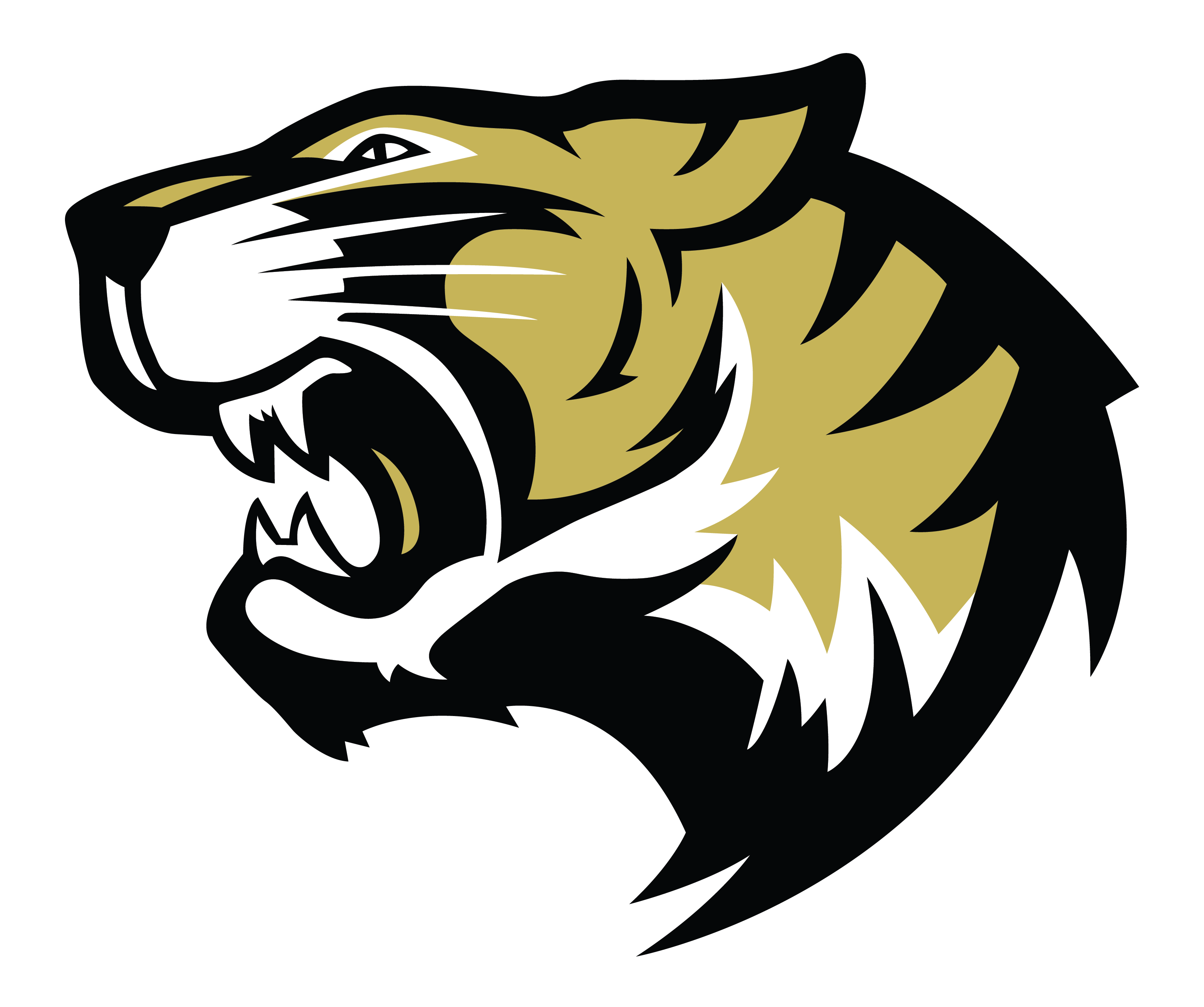 High School Mascot Logo - Communications / High School Logos