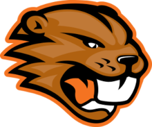 High School Mascot Logo - Beaverton High School