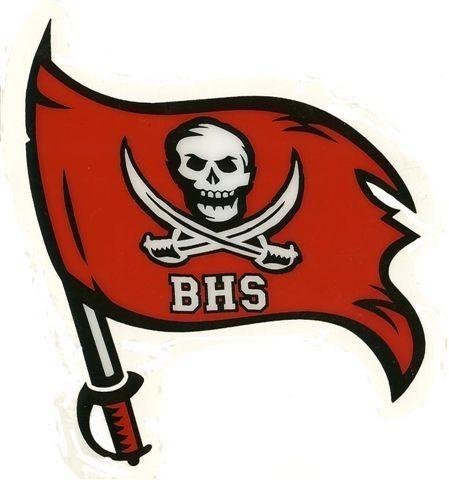 High School Mascot Logo - Bolingbrook High School