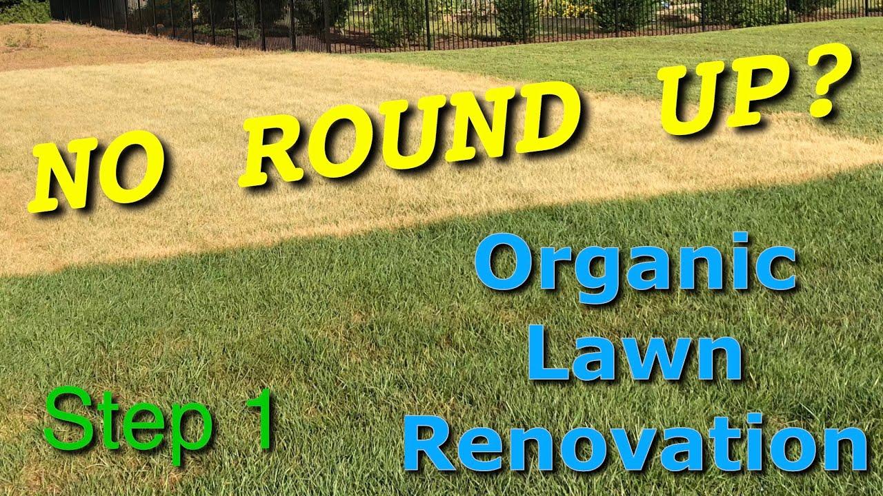 Round Grass Logo - Organic Lawn Renovation - NO ROUND UP USED - PART 1 - YouTube