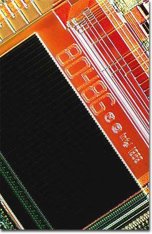 Red Intel Logo - Molecular Expressions: Chip Shots - Intel Integrated Circuits - 486SX