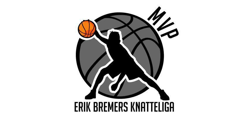 Basketball Camp Logo - Erik Bremers Basketball Camp - Logo Graphic Design | logos ...