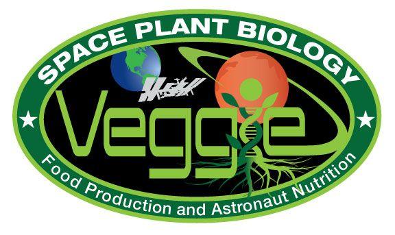 International NASA Logo - Space-Grown Flowers Will be New Year Blooms on International Space ...