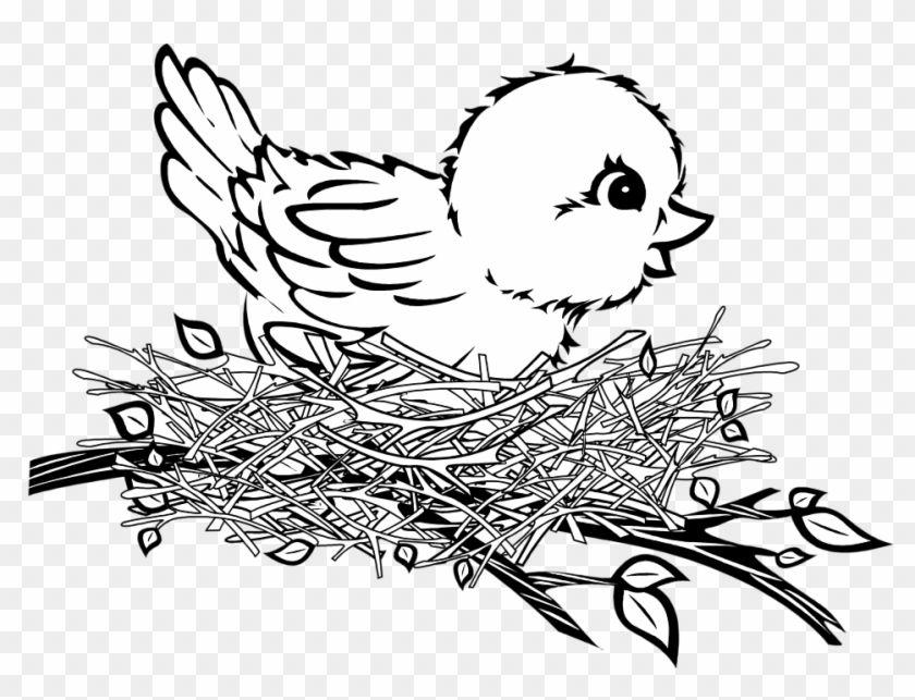 Birdsnest Black and White Logo - Clipart Of Birds Black And White Bird Nest Free Download - Bird In A ...