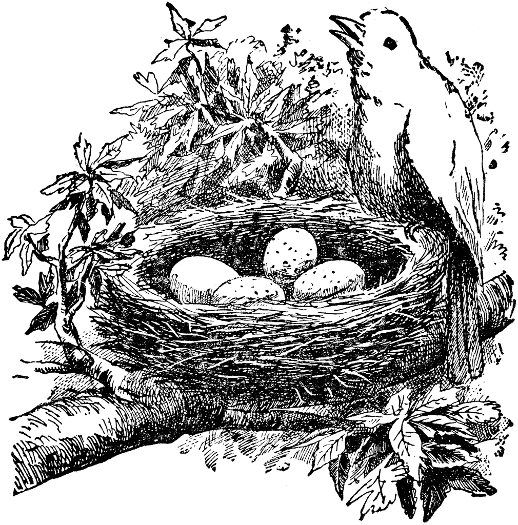 Birdsnest Black and White Logo - Free Nest Outline Clipart, Download Free Clip Art, Free Clip Art