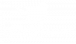 Birdsnest Black and White Logo - Birdsnest Promo Codes & Discount Codes In February 2019 Australia