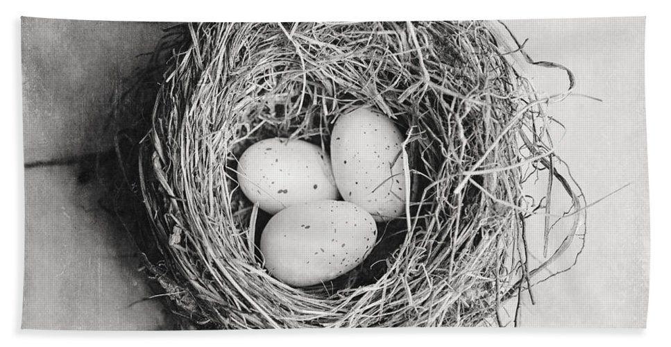 Birdsnest Black and White Logo - Cottage Bird's Nest In Black And White Hand Towel