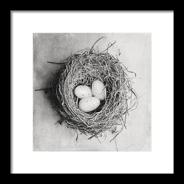 Birdsnest Black and White Logo - Cottage Bird's Nest In Black And White Framed Print by Lisa Russo