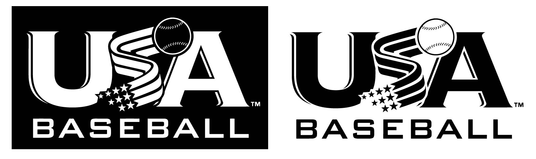 Baseball and Baseball Bat Logo - CURRENT BAT RULES